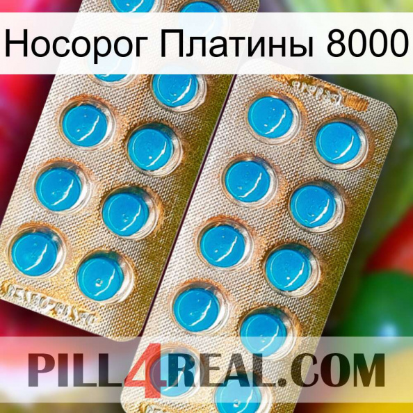 Носорог Платины 8000 new08.jpg